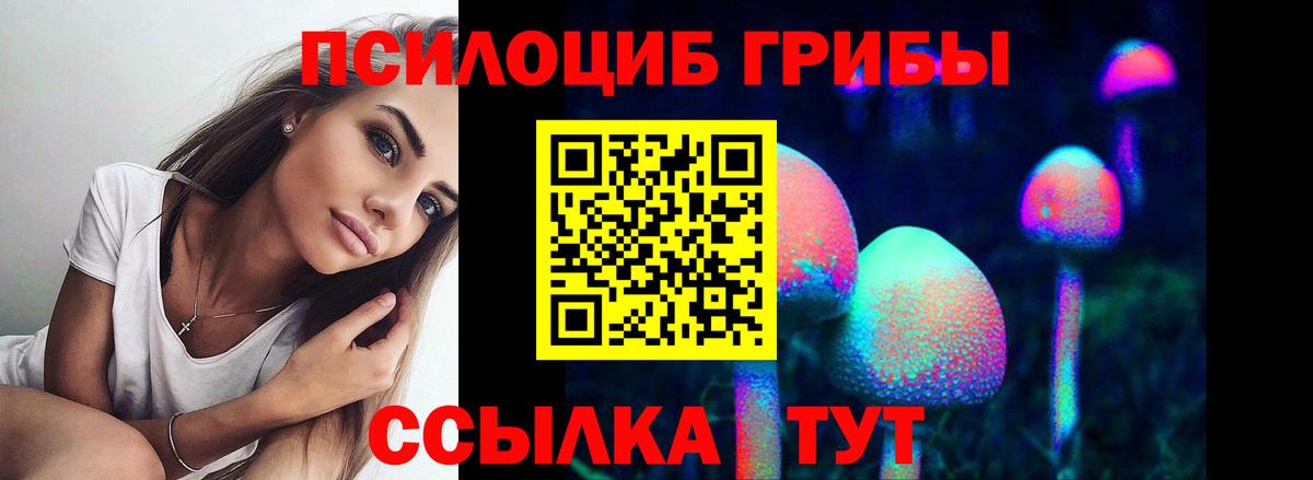 дарнет шоп  Псилоцибиновые грибы мицелий  Вход с VPN  Череповец 